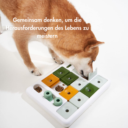 Hundespielzeug Intelligenz - Stufe 3 Fortgeschrittene
