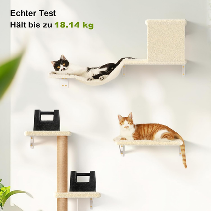 Kletterwand Katzen Set