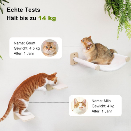 Kletterwand Katzen Set