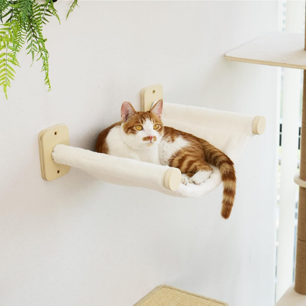 Kletterwand Katzen Set