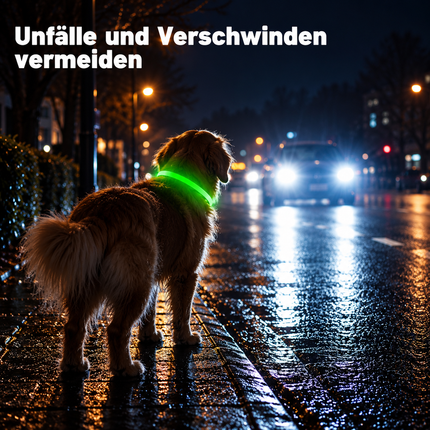 Leuchthalsband Hund USB Aufladbar
