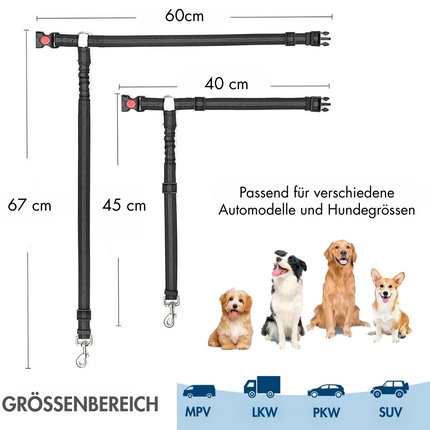 Hundegurt fürs Auto