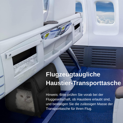 Transportbox Katze