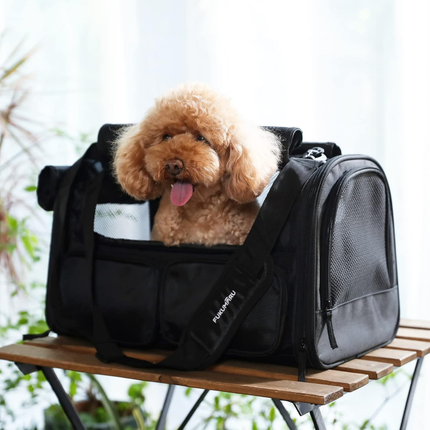 Transportbox Katze