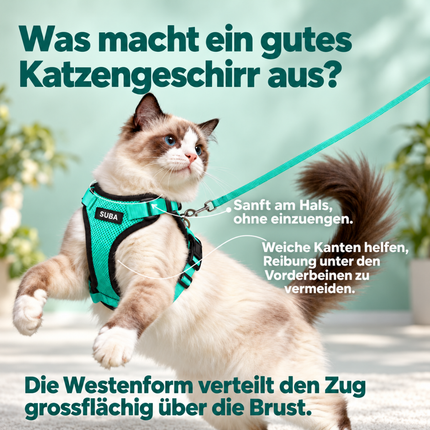 Katzengeschirr mit Leine ausbruchsicher