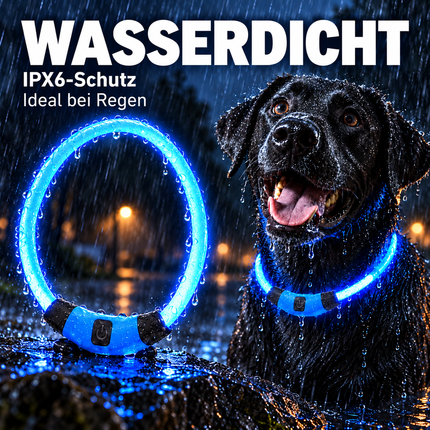 Leuchthalsband Hund USB Aufladbar