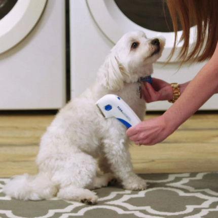 Flohkamm für Hunde, elektrisch