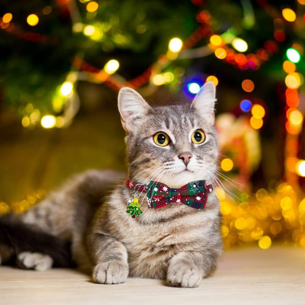 3 Stück Weihnachten Katzehalsband