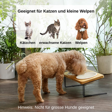 Erhöhte Keramik-Futternäpfe für Katzen