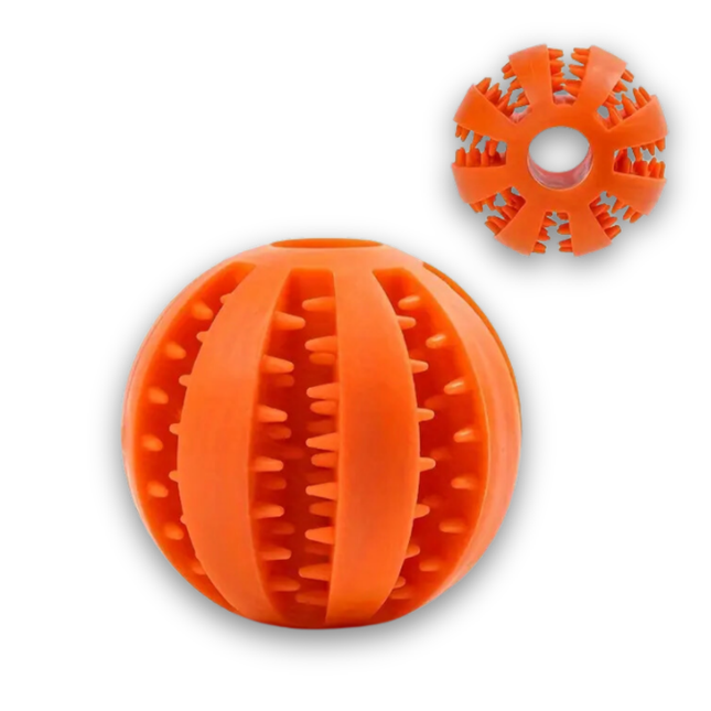 Denta Fun Ball