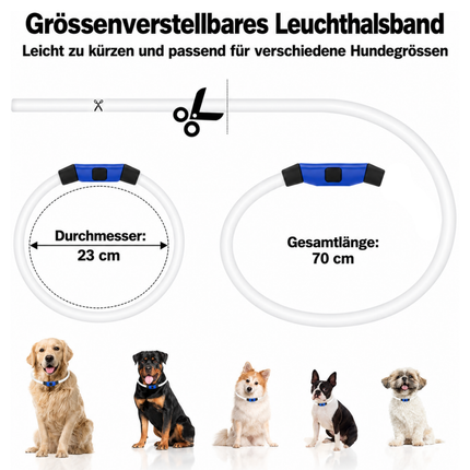 Leuchthalsband Hund USB Aufladbar