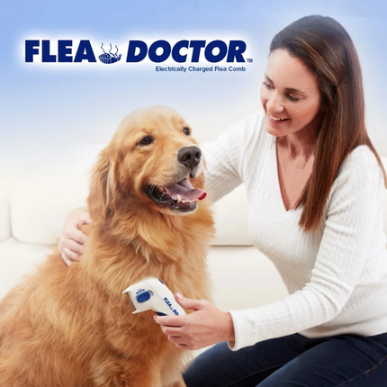 Flohkamm für Hunde, elektrisch