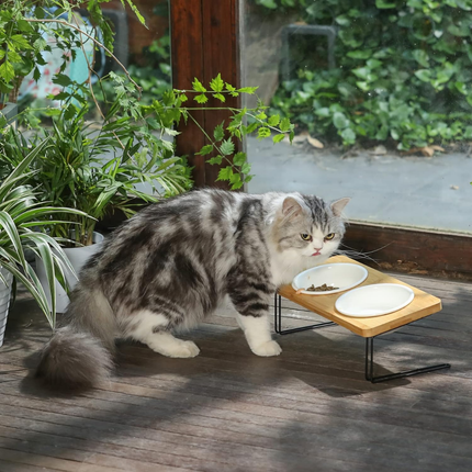 Erhöhte Keramik-Futternäpfe für Katzen