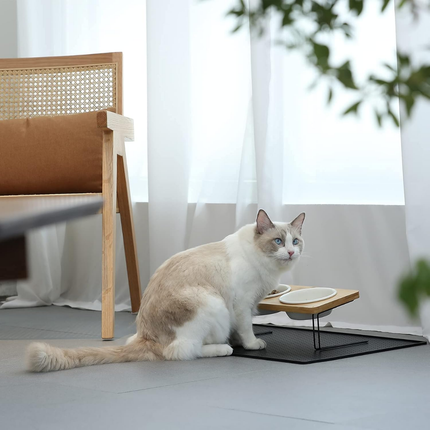 Erhöhte Keramik-Futternäpfe für Katzen