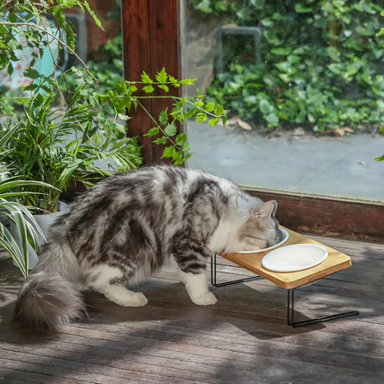 Erhöhte Keramik-Futternäpfe für Katzen