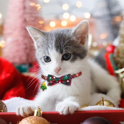 3 Stück Weihnachten Katzehalsband