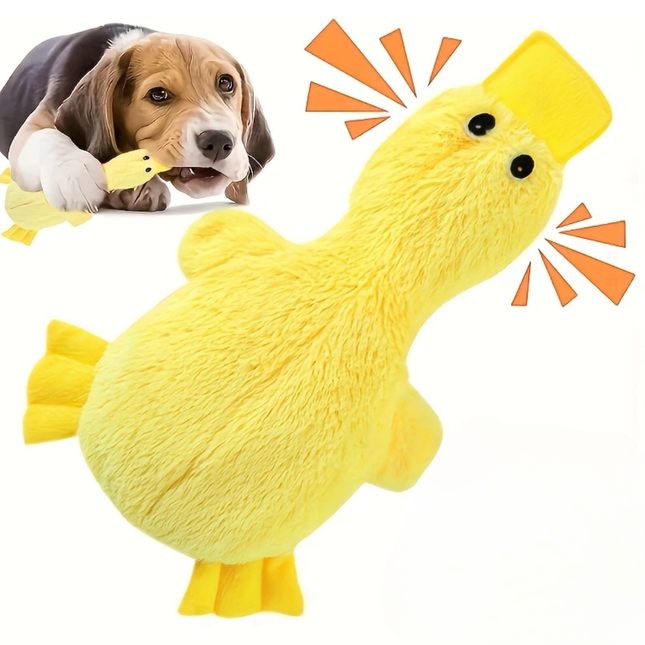 Duck Hundespielzeug