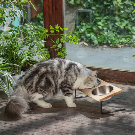Erhöhte Futternäpfe für Katzen
