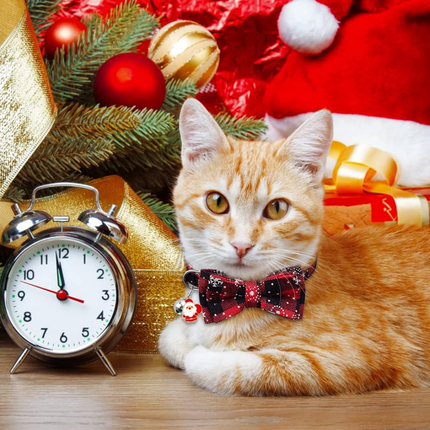 3 Stück Weihnachten Katzehalsband