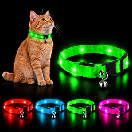 Leuchthalsband für Katzen
