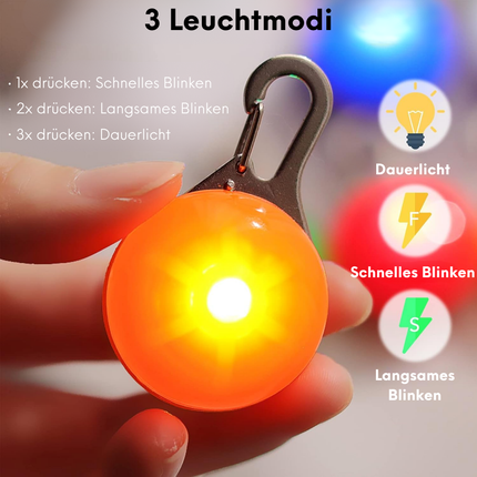 6 Stück LED Blinklicht für Hundesicherheit