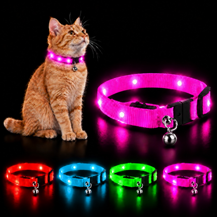 Leuchthalsband für Katzen