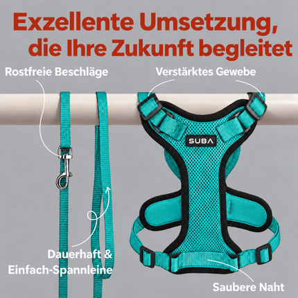 Katzengeschirr mit Leine ausbruchsicher