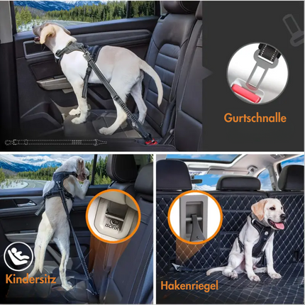 Hunde Sicherheitsgurt für Auto