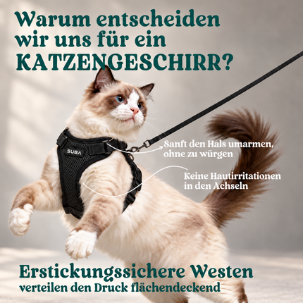 Katzengeschirr mit Leine ausbruchsicher