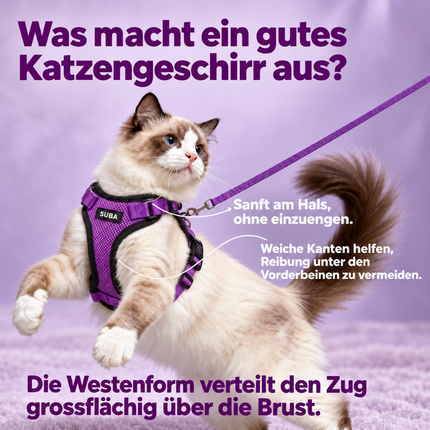 Katzengeschirr mit Leine ausbruchsicher