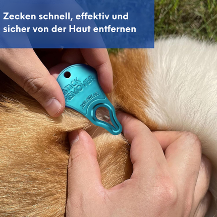 3er-Pack Zeckenentferner