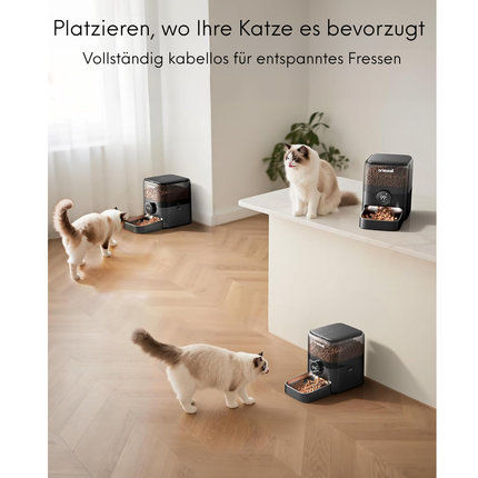 Automatic Cat Feeder, 3L WiFi
