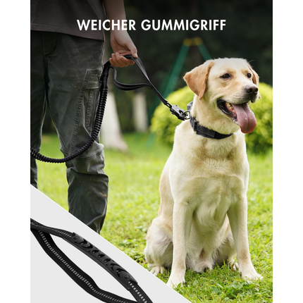 Hundeleine mit Sicherheitsgurt