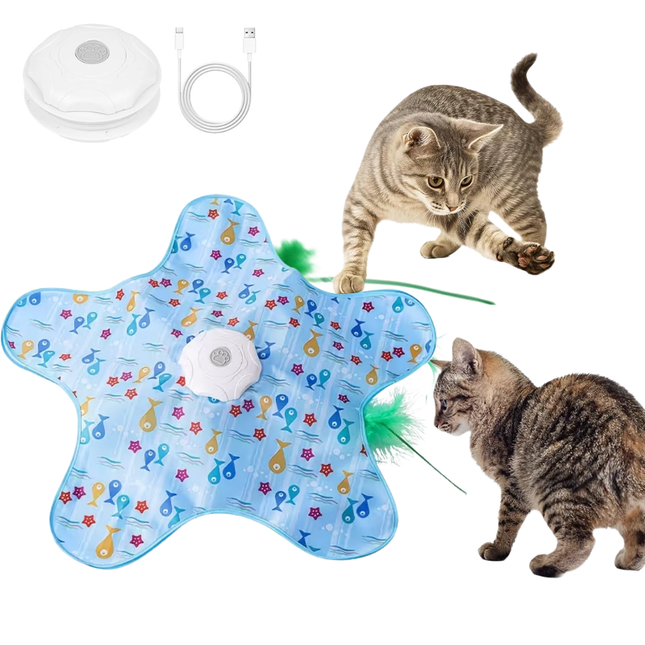 Katzenspielzeug Elektrisch mit Federn