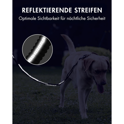 Hundeleine mit Sicherheitsgurt