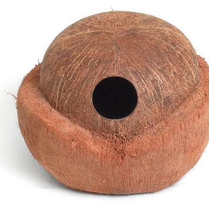 Igloo maison en noix de coco