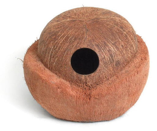 Igloo maison en noix de coco