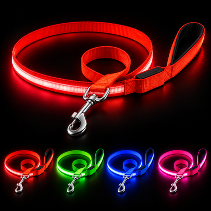 LED Hundeleine