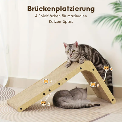 Kratzbrett Katzen