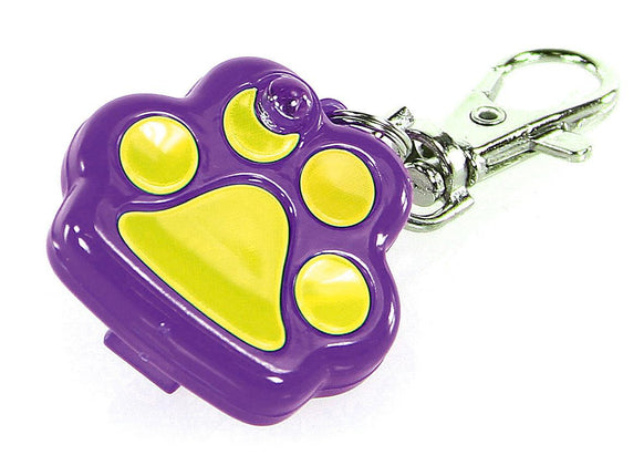 Pattes lumineuses LED, violettes