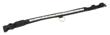 Collier lumineux pour chien Pfötli