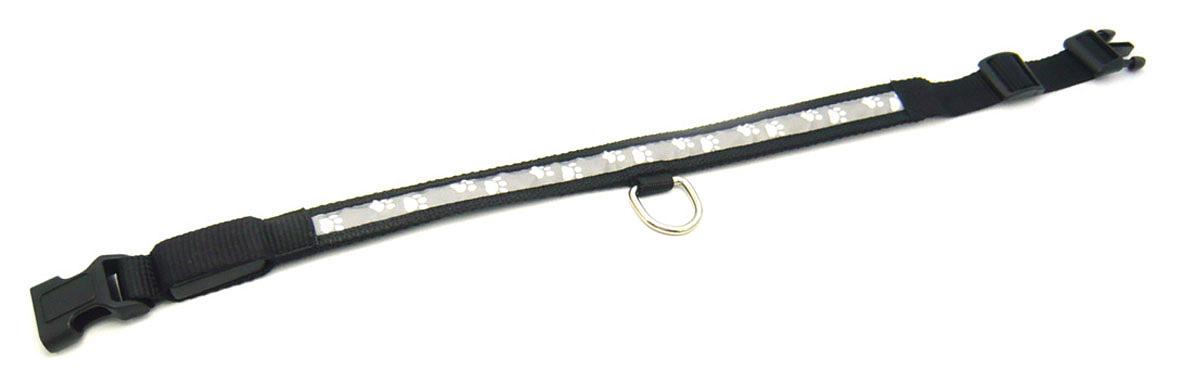 Collier lumineux pour chien Pfötli
