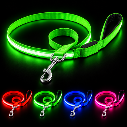 LED Hundeleine