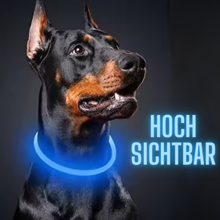 Leuchthalsband Hund, 70 cm