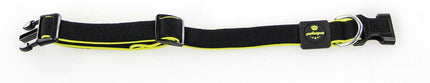 Active Dog Hundehalsband