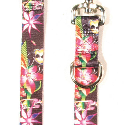 Laisse Dreamland 15