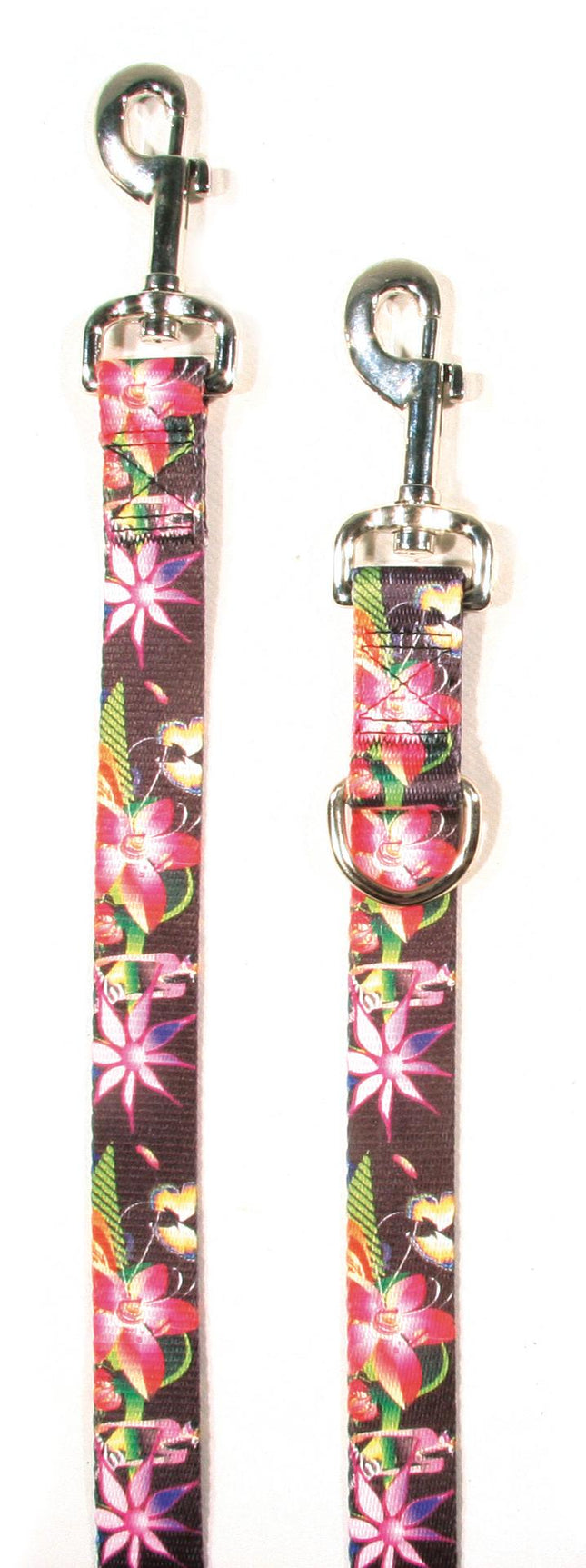 Laisse Dreamland 15
