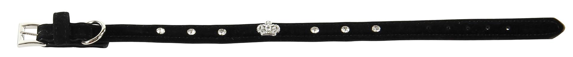 Collier de luxe pour chien King S,