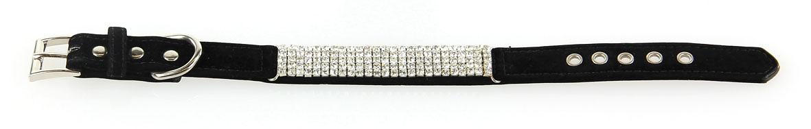 Collier et laisse pour chien de luxe Diamants