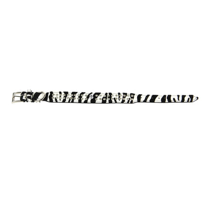 Collier de luxe pour chien zèbre